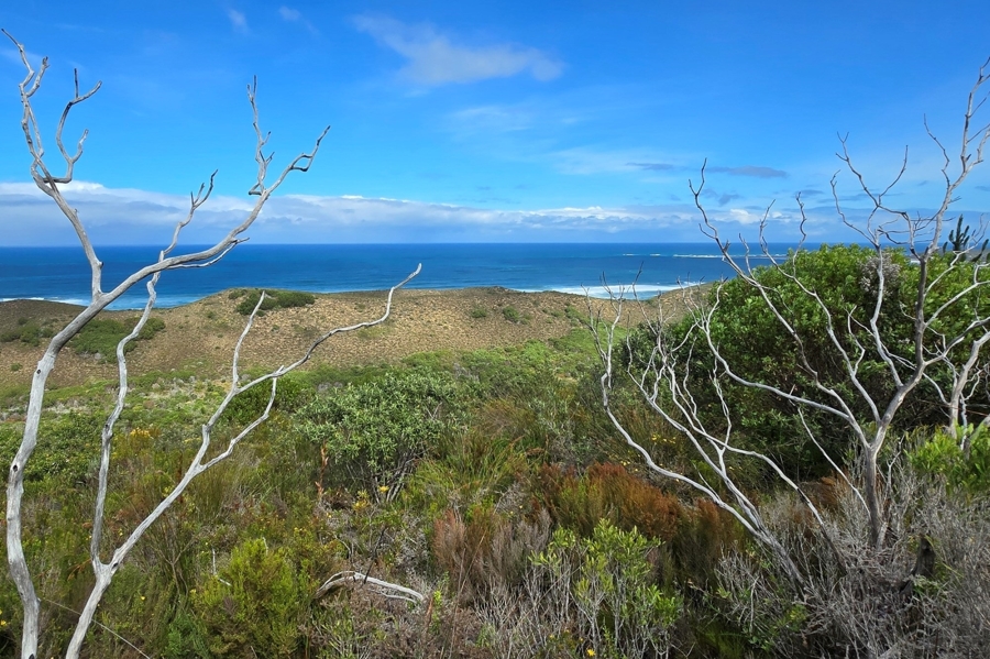 0 Bedroom Property for Sale in Brenton On Sea Western Cape